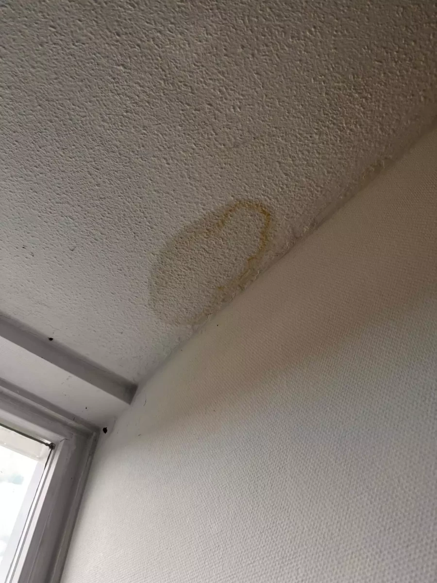 lekkage badkamer enschede